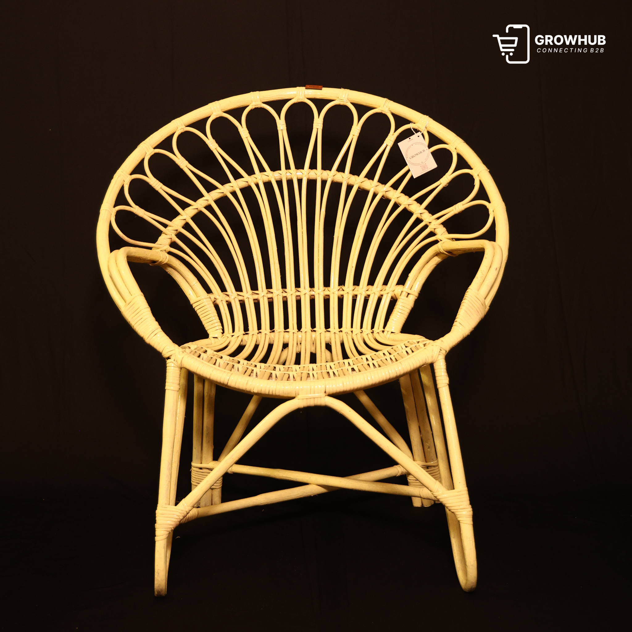 SUNRISE RATTAN LOUNGE CHAIR