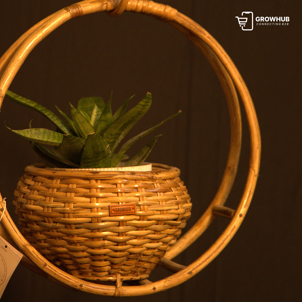 HANGING FLOWER POT