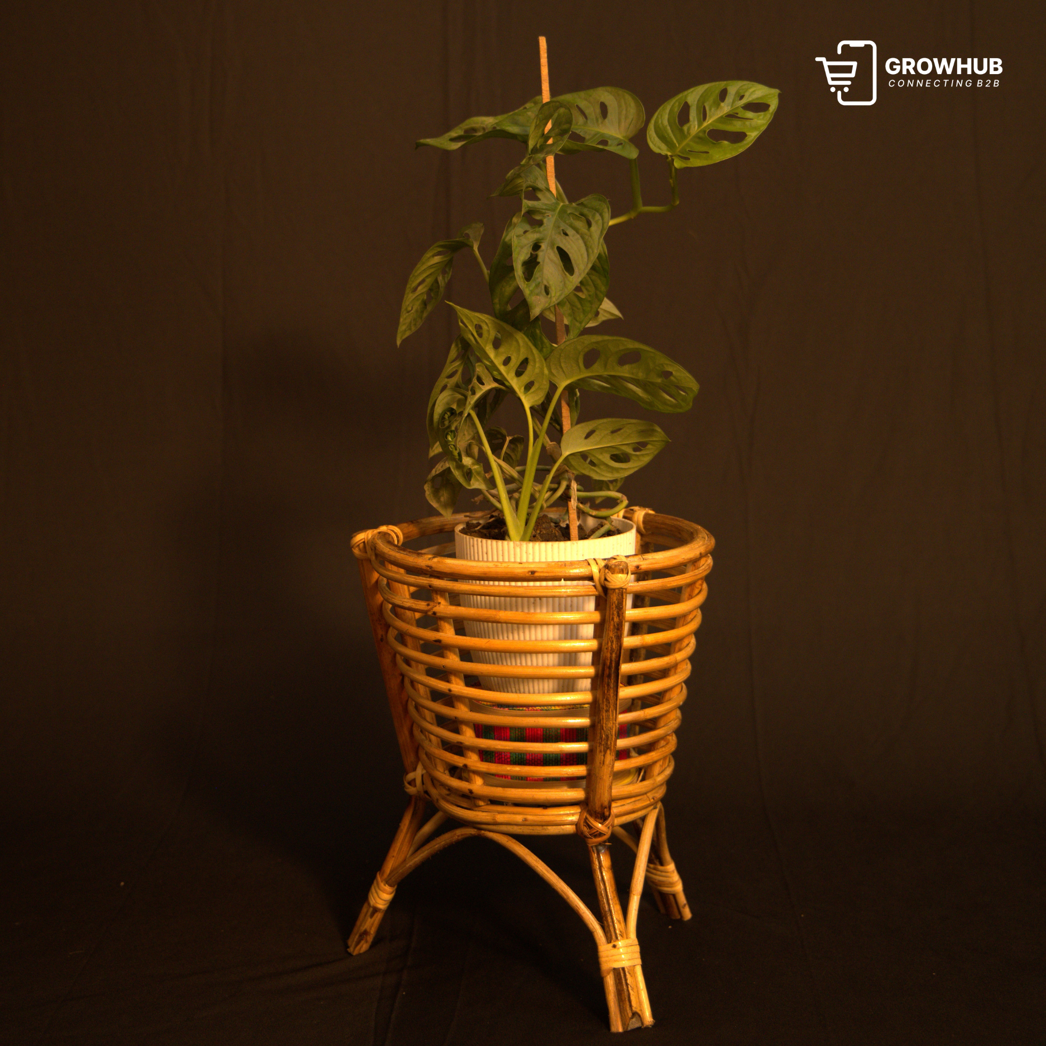 The Heritage Tripod Rattan Planter