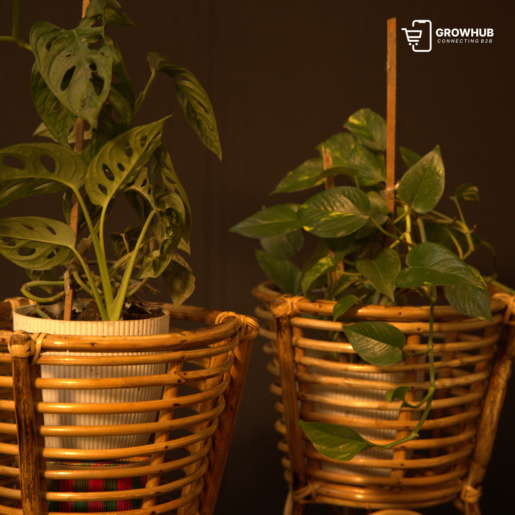 The Heritage Tripod Rattan Planter