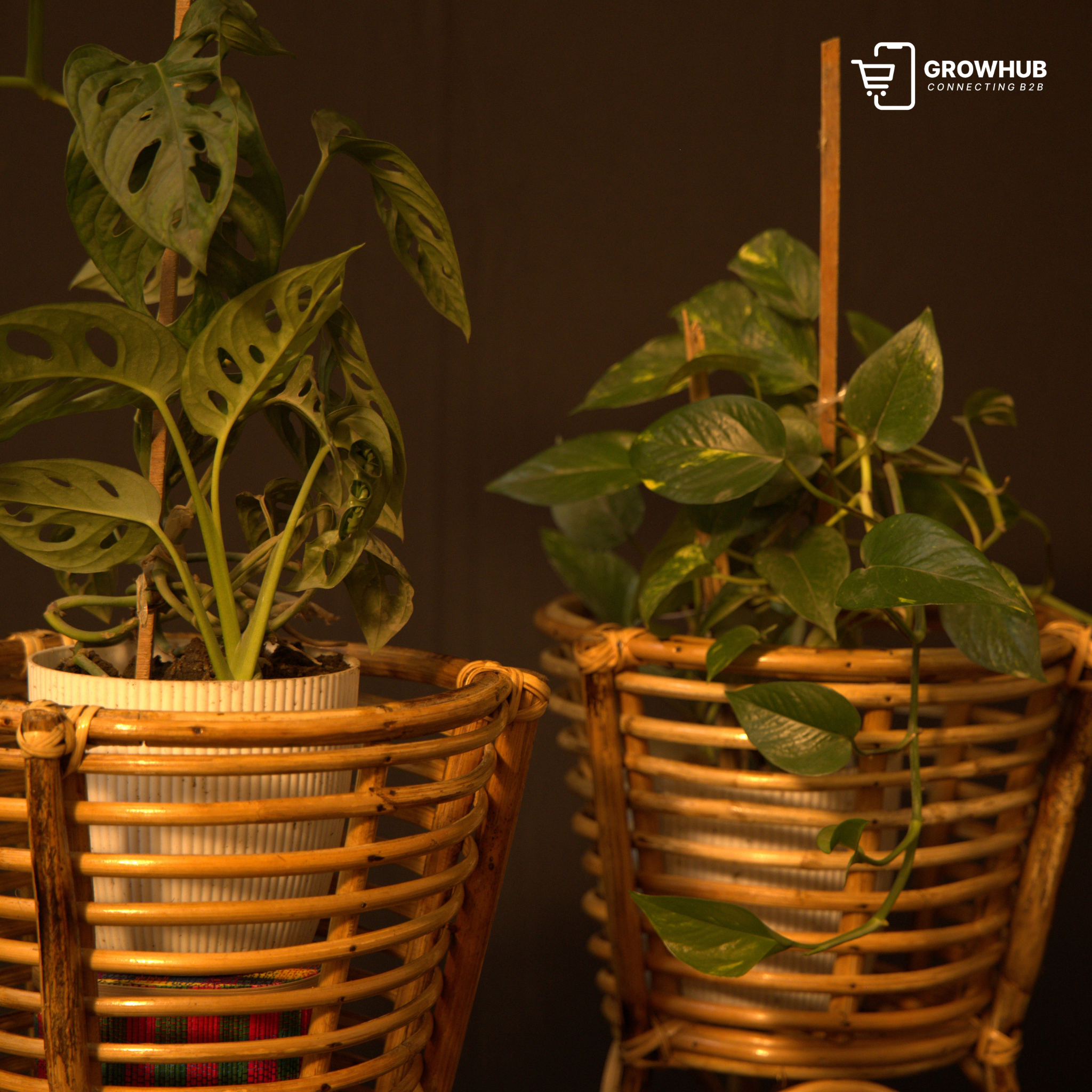 The Heritage Tripod Rattan Planter