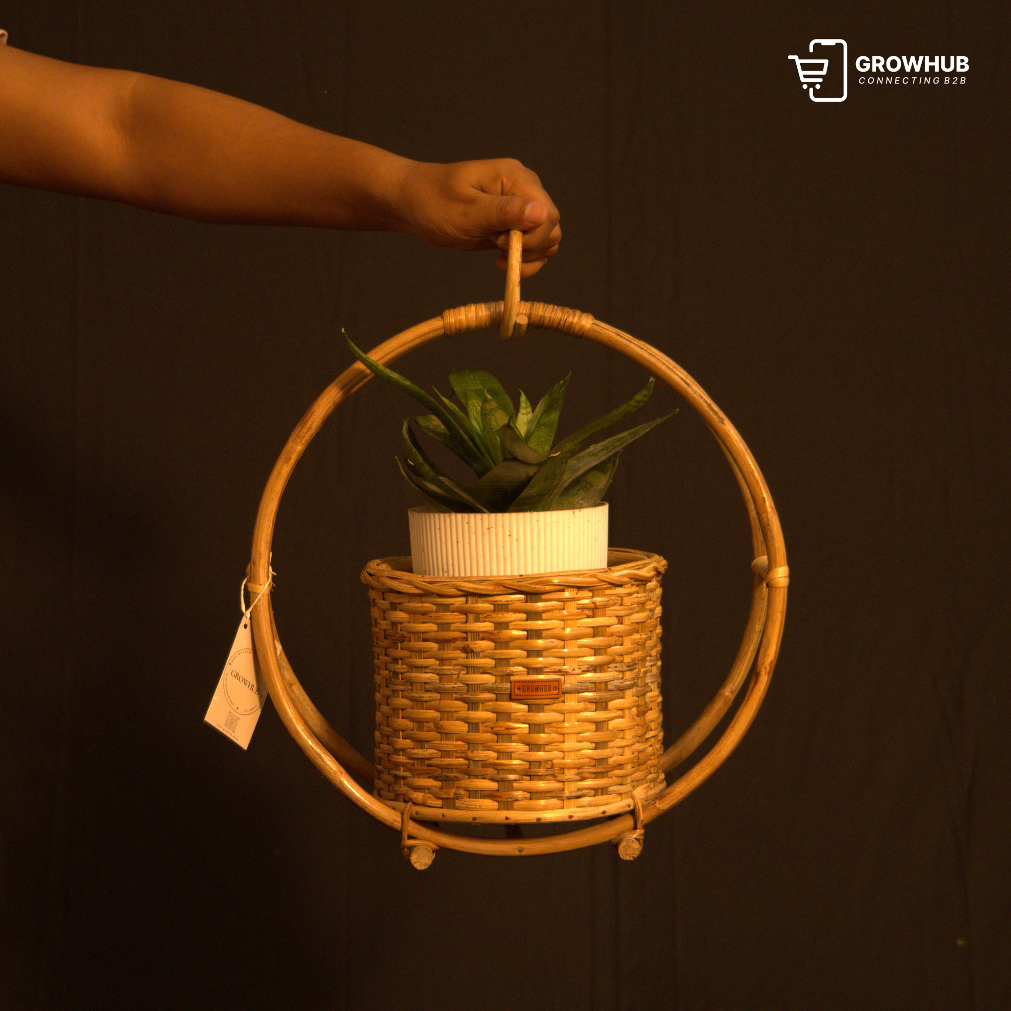 CANE BLISS FLOWER POT