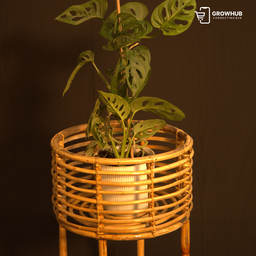 CANE 2-TIER PLANTER STAND