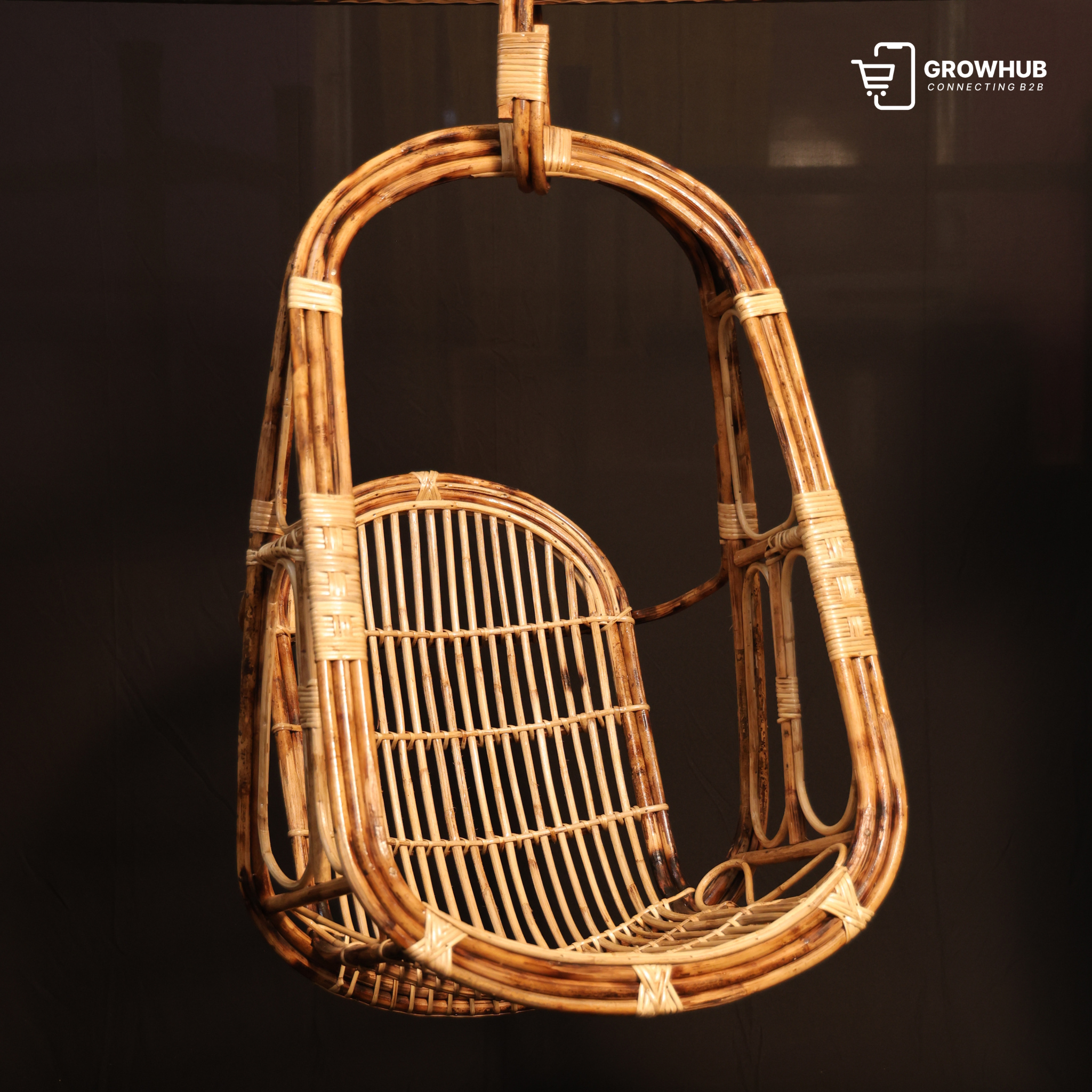 THE LITTLE DREAMER SWING